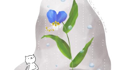 日陰だったとしても